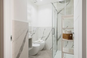 Shower, hair dryer, bidet, towels