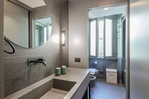 Shower, hair dryer, bidet, towels