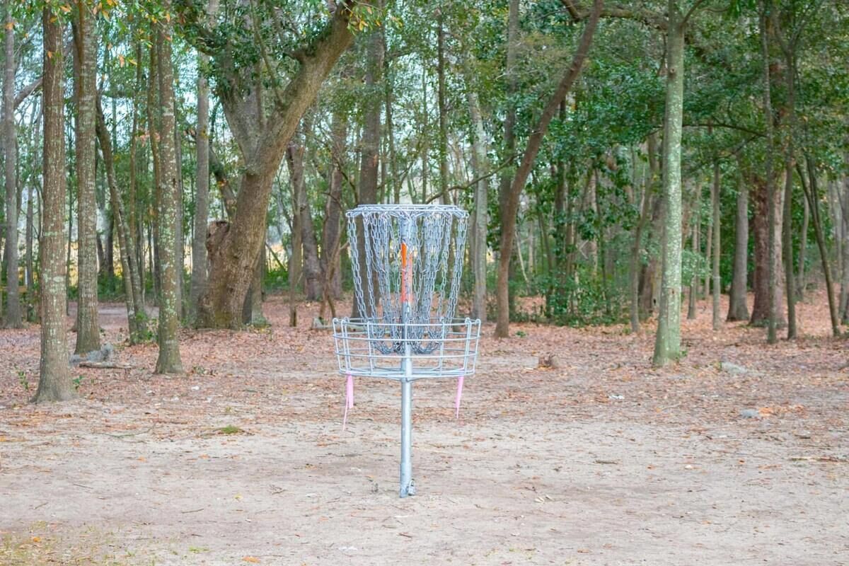 Un panier de disc golf situé dans une zone boisée.