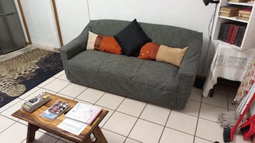 TV, DVD player, books, computer monitors