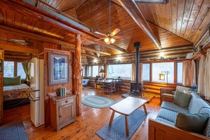 Televisión, chimenea, reproductor de DVD y oficina 