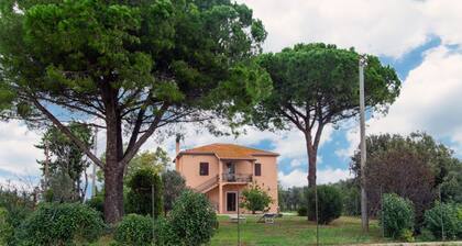 Villa Orta