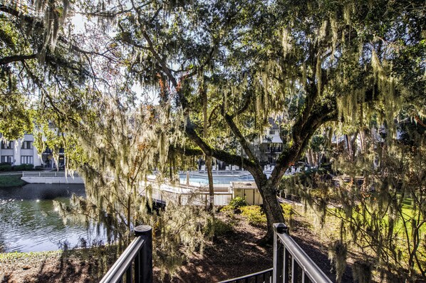 Property grounds - Springwood 41 - 2 BR/2.5 Bath Townhouse (Hilton Head Island)