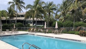 A swimming pool with lounge chairs and umbrellas, surrounded by palm trees and a building in the background.