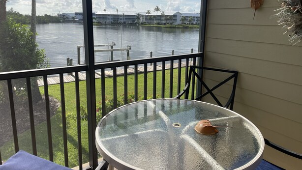 A glass-top table on a balcony with a view of a lake and buildings in the distance.