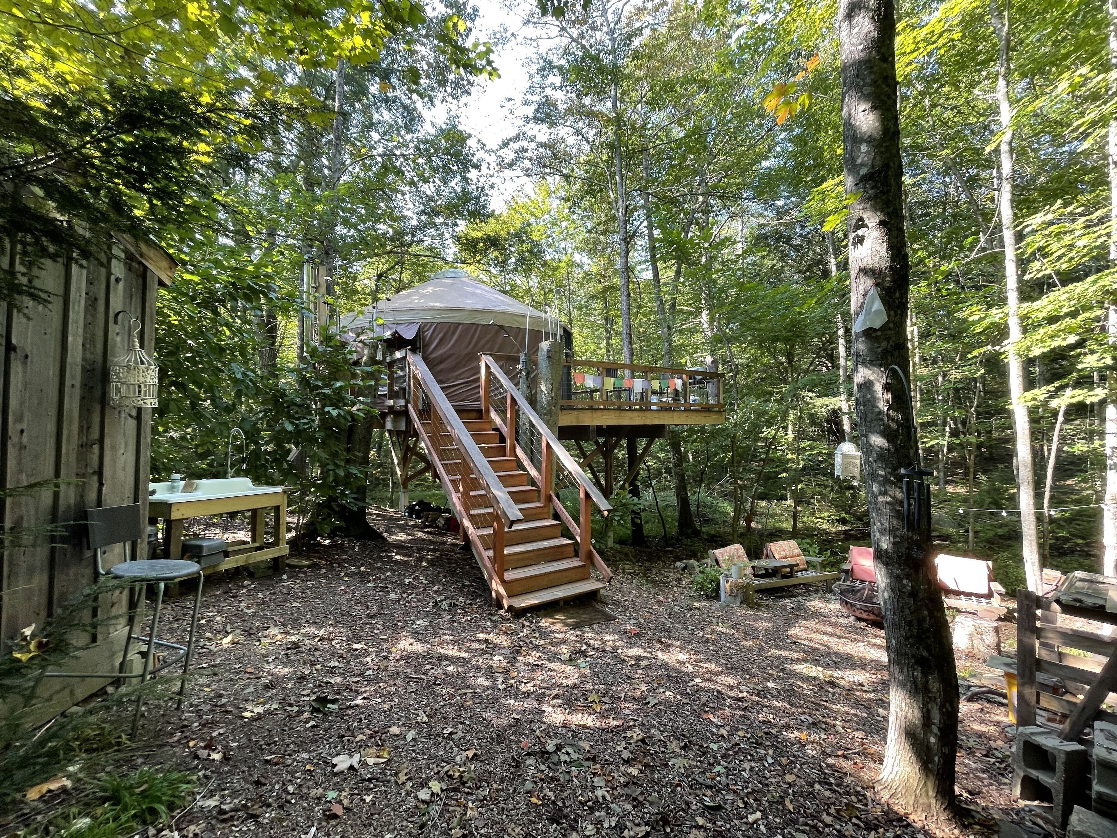 A rustic cabin with a wooden staircase leading to a covered outdoor area, surrounded by dense forest.