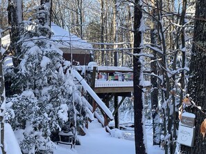 Property grounds - A yurt in the trees.  Close to Portland but close to nature.  Treeyurt Maine (Cumberland)
