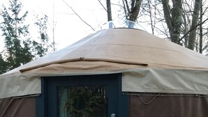 A dome-shaped yurt with a dark blue door and a beige roof. - A yurt in the trees.  Close to Portland but close to nature.  Treeyurt Maine (Cumberland)