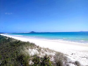FB IMG 1772891828713 260322121423 - Seascape Peninsula Bach (Karikari Peninsula)