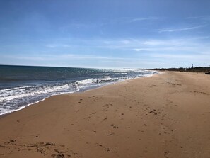 Sun-loungers, beach towels