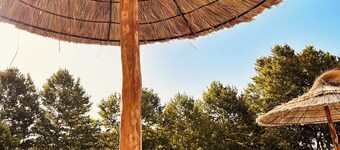 Gite la Maison du Vigneron with 4 bedrooms