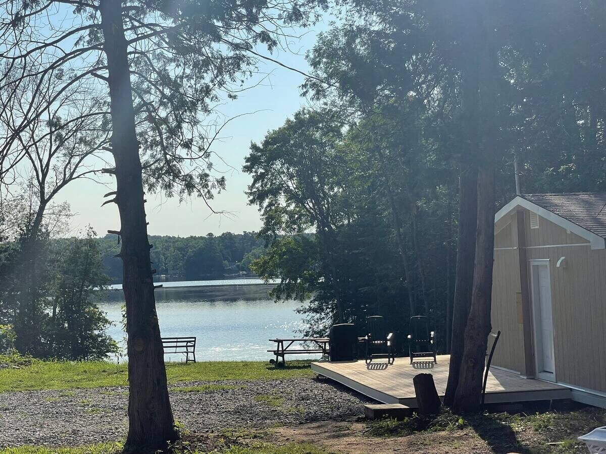 Värdens profilbild