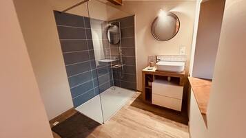 Shower, hair dryer, soap, toilet paper