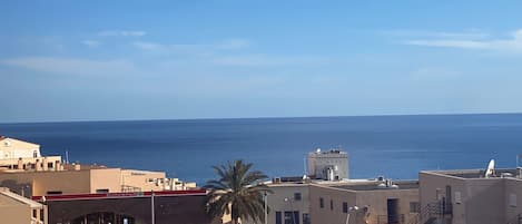 Un paisaje urbano costero con vista al mar, que incluye edificios, un estacionamiento y una palmera.