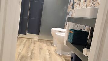 Shower, hair dryer, bidet, towels