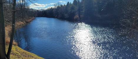 A serene river with sunlight reflecting off the water, surrounded by trees and a grassy bank.