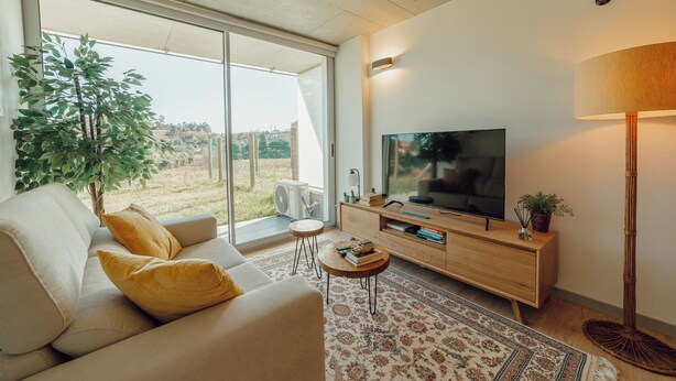 A modern living room with a sofa, a coffee table, a TV, and a lamp. - Amazing Design Garden by Vacationy (Vila Nova de Gaia)