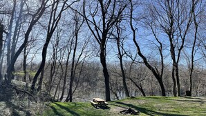 Ein Picknickplatz mit Bank und Feuerstelle, umgeben von Bäumen.