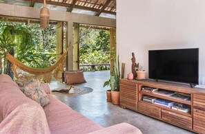 Smart TV, books