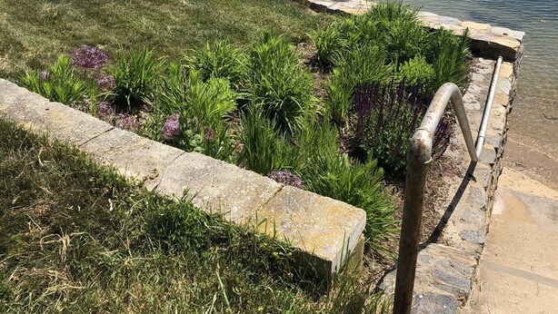 A waterfront property with a stone retaining wall, grassy areas, and a curved shoreline. - Cozy beach cottage. Less than a 2minute walk to the beach.  (Westbrook)