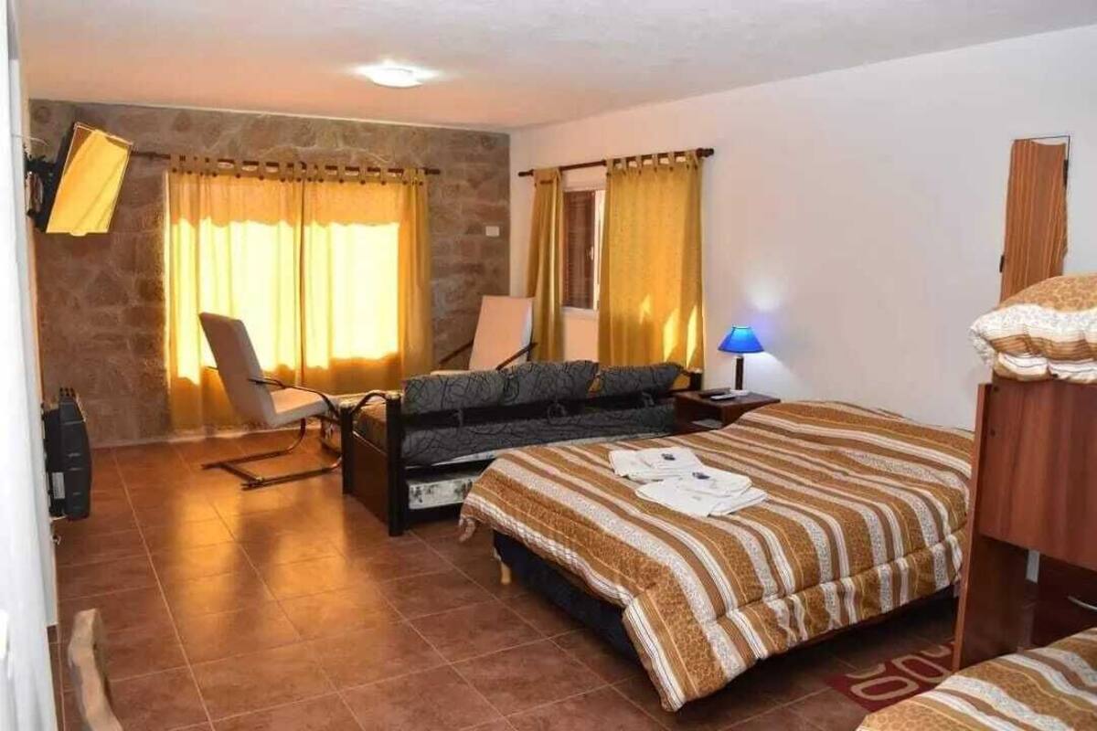A hotel room with a bed, a sofa, a chair, and a desk.