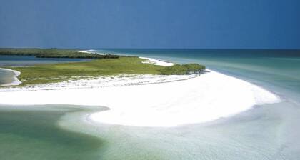 Stay in Downtown Dunedin • Walk Everywhere