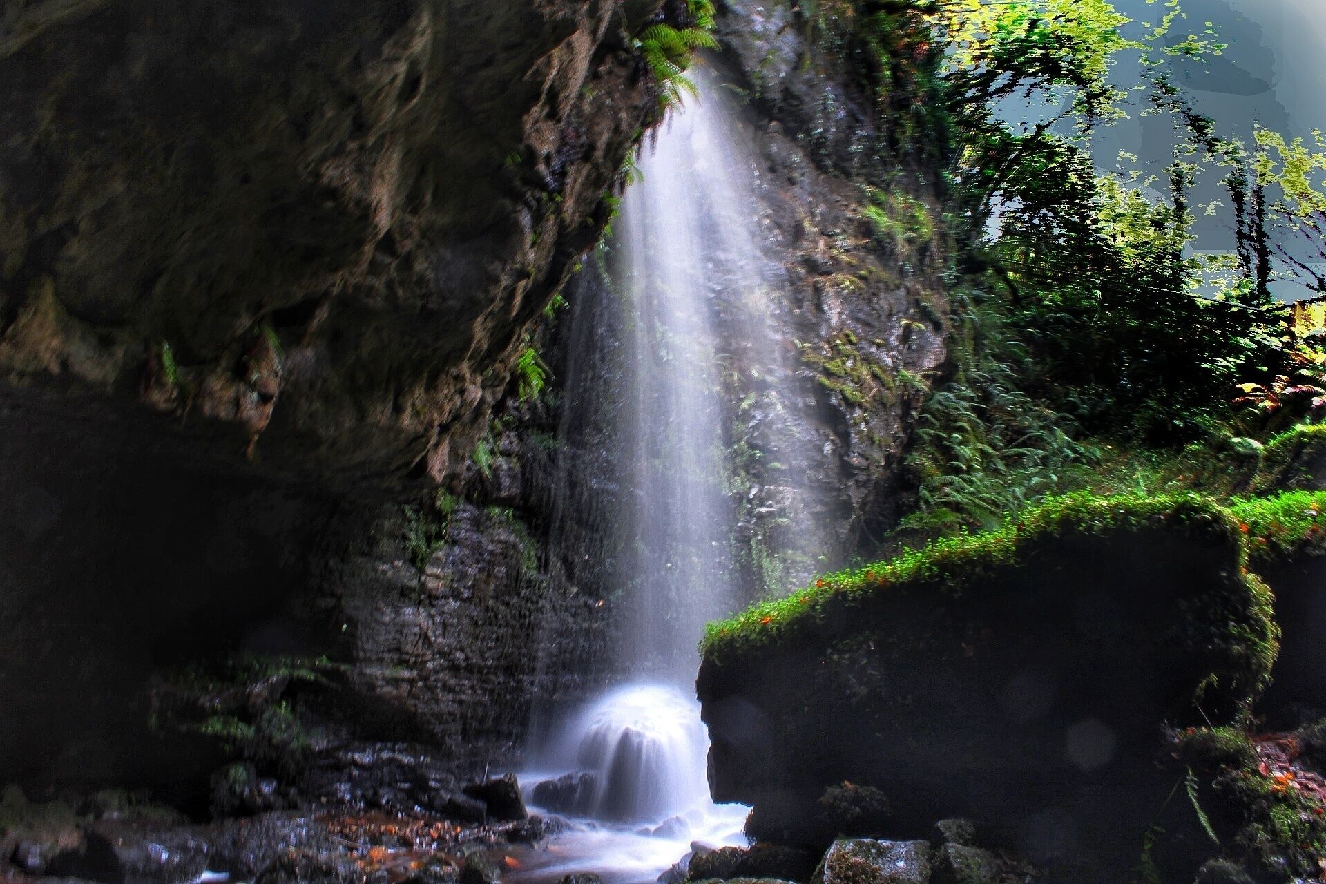 A waterfall cascading down a rocky cliff surrounded by lush greenery.