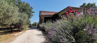 Holiday House OLLY in Rovinj