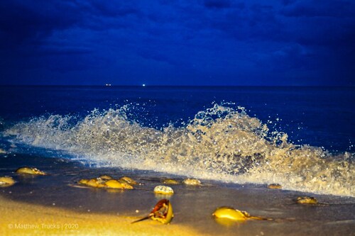 Peaceful Bayside Retreat! Water views with direct private beach access! 