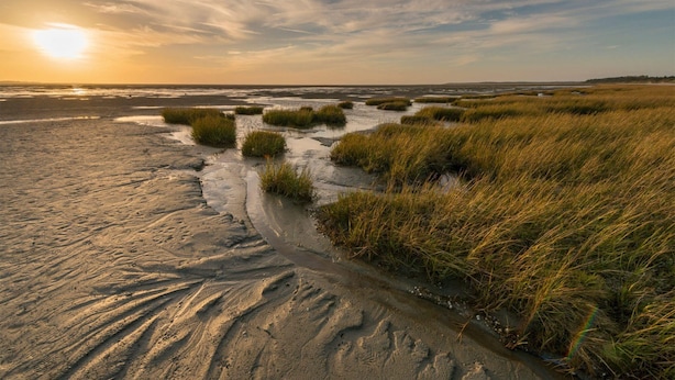 Ein Strand mit Sand und Gras, ein Pfad und ein Sonnenuntergang im Hintergrund.
