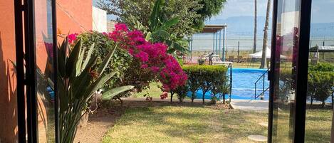 Vista desde un ventanal a un patio con piscina, rodeado de follaje y un cielo despejado.