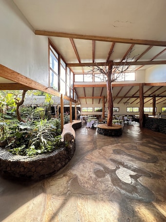 Living area. Hotel Hotu Matua