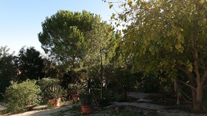 Property grounds - Monte JB-Monte João Moleiro, a large and welcoming space where nature rules. (Olhão)