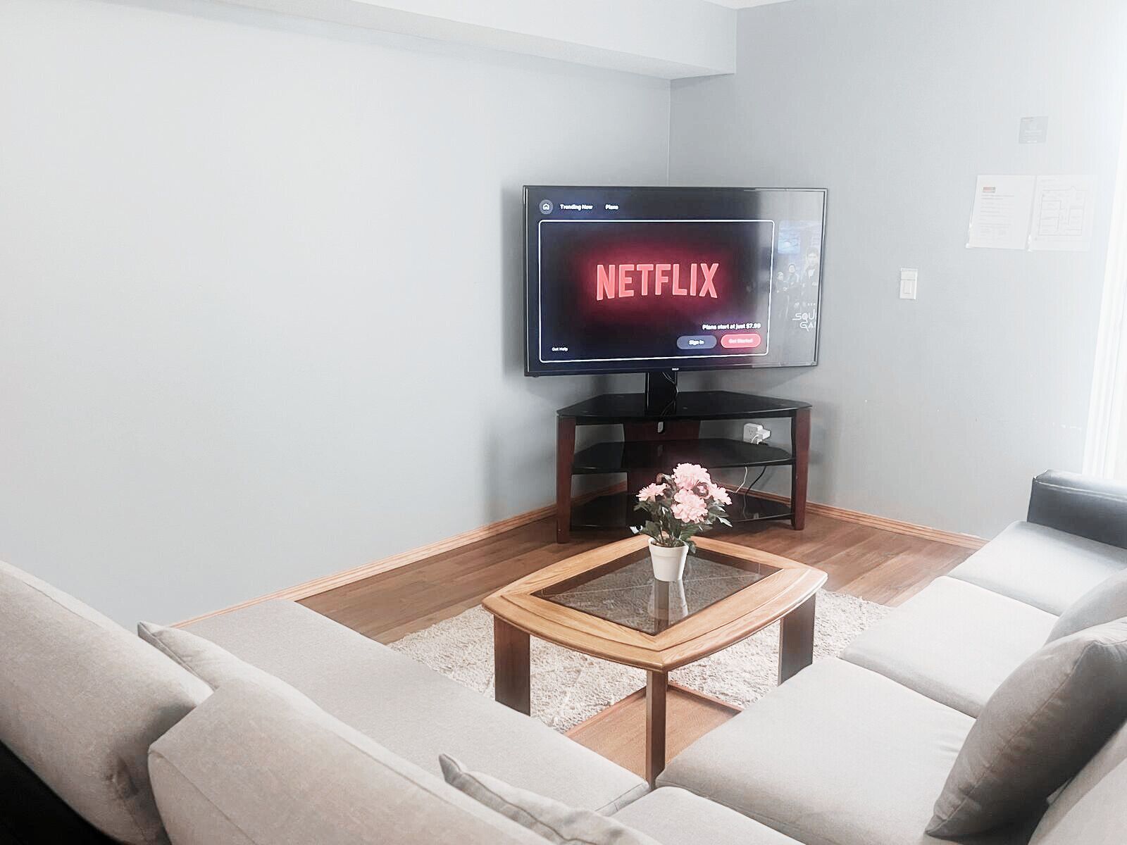 Smart TV, books, computer monitors