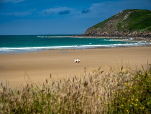 Een strand met twee mensen die surfplanken dragen, een grasveld op de voorgrond en een heuvel in de verte.