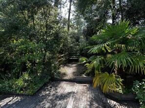 Property grounds - Villa 8 Pers-4 Chambres-piscine (La Tremblade)