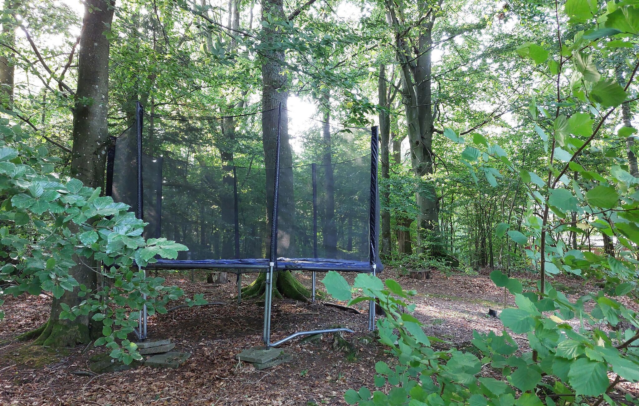 Un trampolino in un'area boscosa, circondato da alberi e vegetazione.
