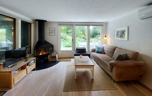 TV connectée, cheminée