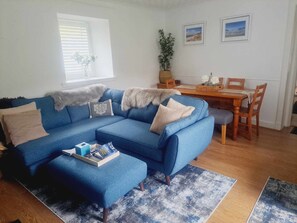 Smart TV, fireplace, DVD player, books