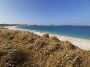 Ein Strand mit klarem, blauem Wasser, sandigem Ufer und grünen Dünen.