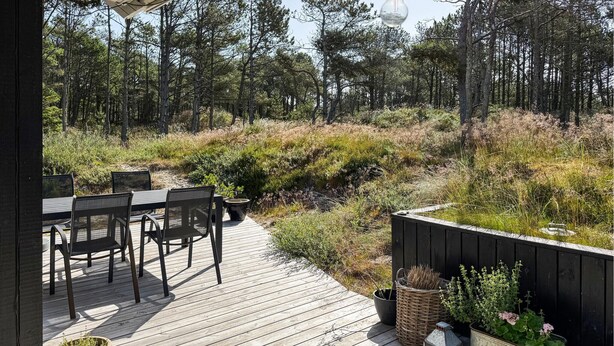 Une terrasse en bois, agrémentée de meubles d’extérieur et de plantes en pot.