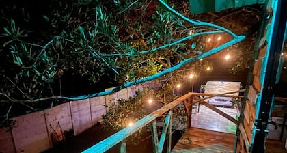 La Cabaña de Mayela