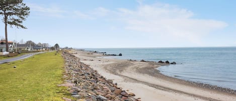 Playa en los alrededores y pesca