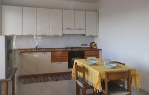 Fridge, stovetop, cookware/dishes/utensils