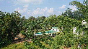 A house surrounded by lush greenery and a swimming pool. - Village Machaan Resort (Kurai)