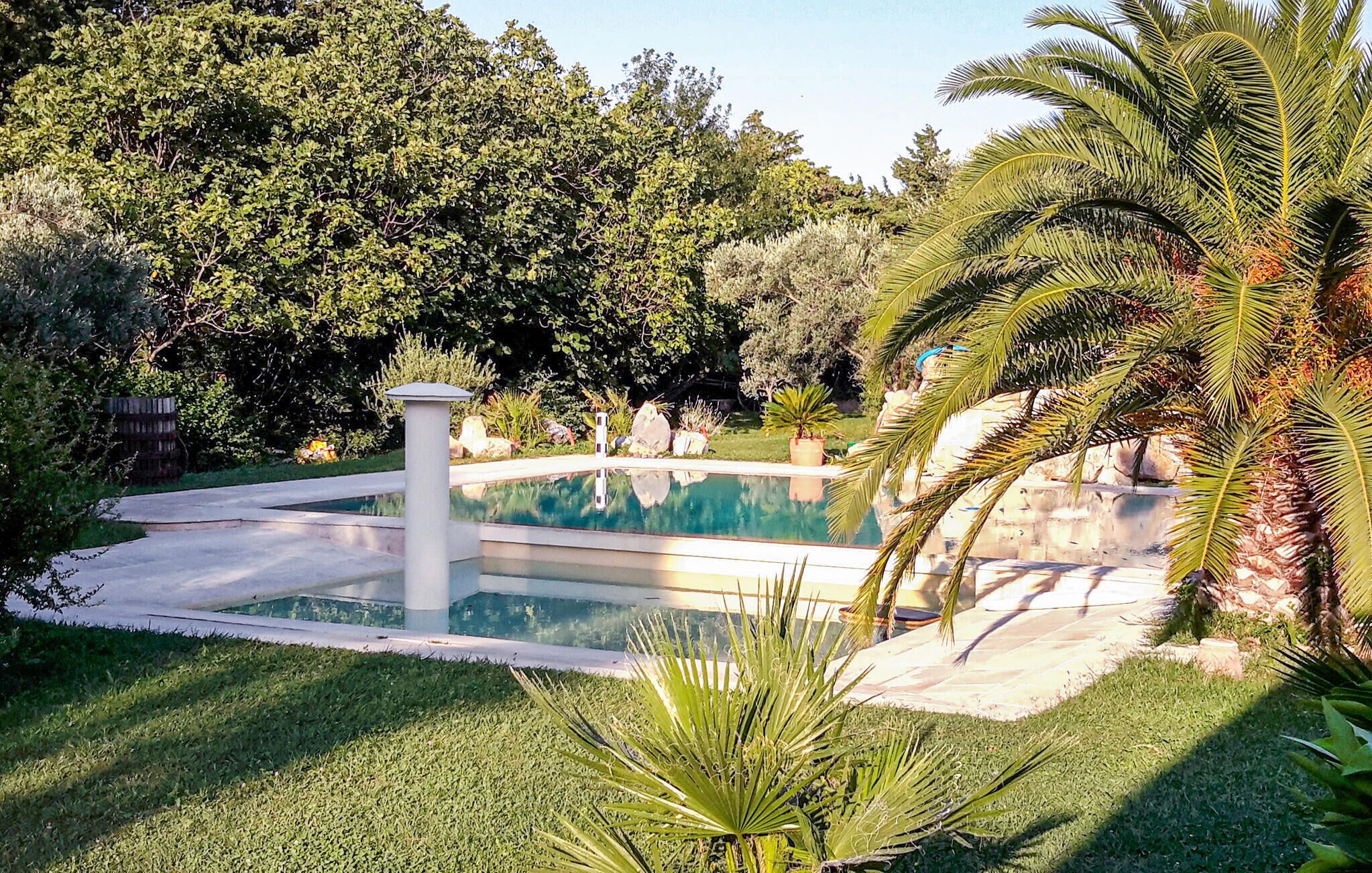 A pool with a stone border, surrounded by well-maintained grass and various plants, including palm trees.