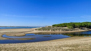 Een kustlandschap met een zandstrand, een klein waterlichaam en een heuvel begroeid met weelderige vegetatie.