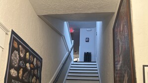 A staircase with white steps and dark risers, flanked by framed mineral specimens and artwork. - Springer Station (Springer)