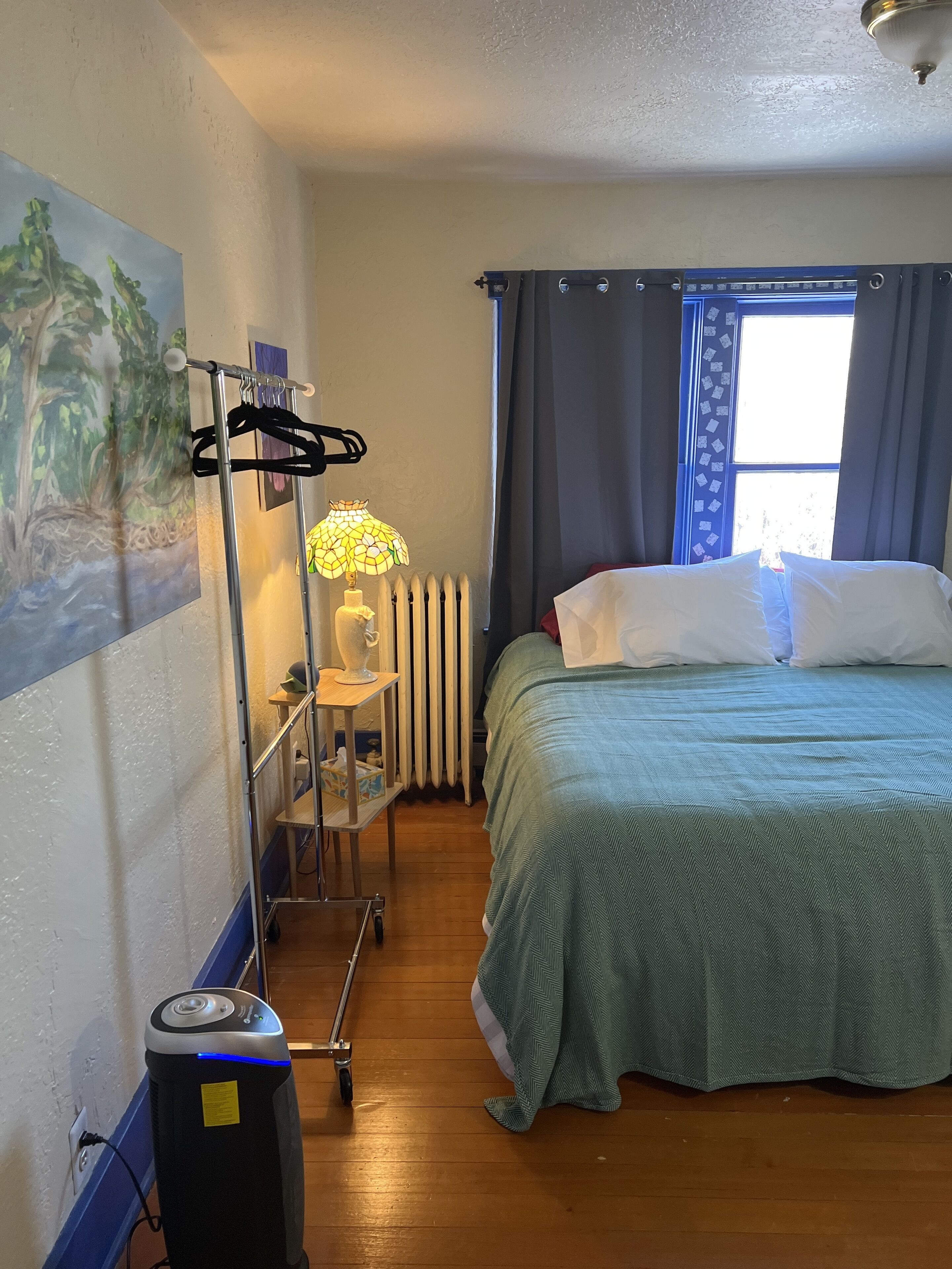Individually decorated, individually furnished, blackout curtains