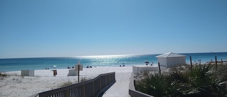 Nära stranden